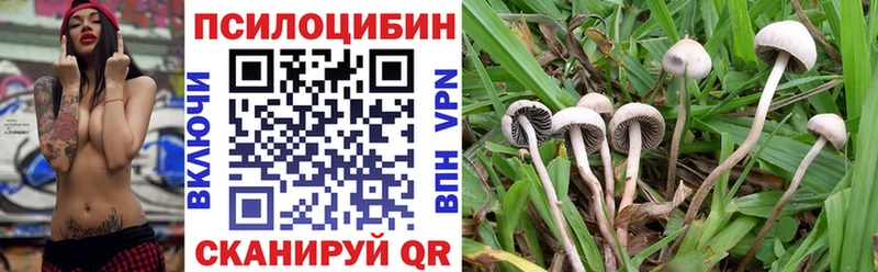 Псилоцибиновые грибы мухоморы  купить  сайты  Чайковский 